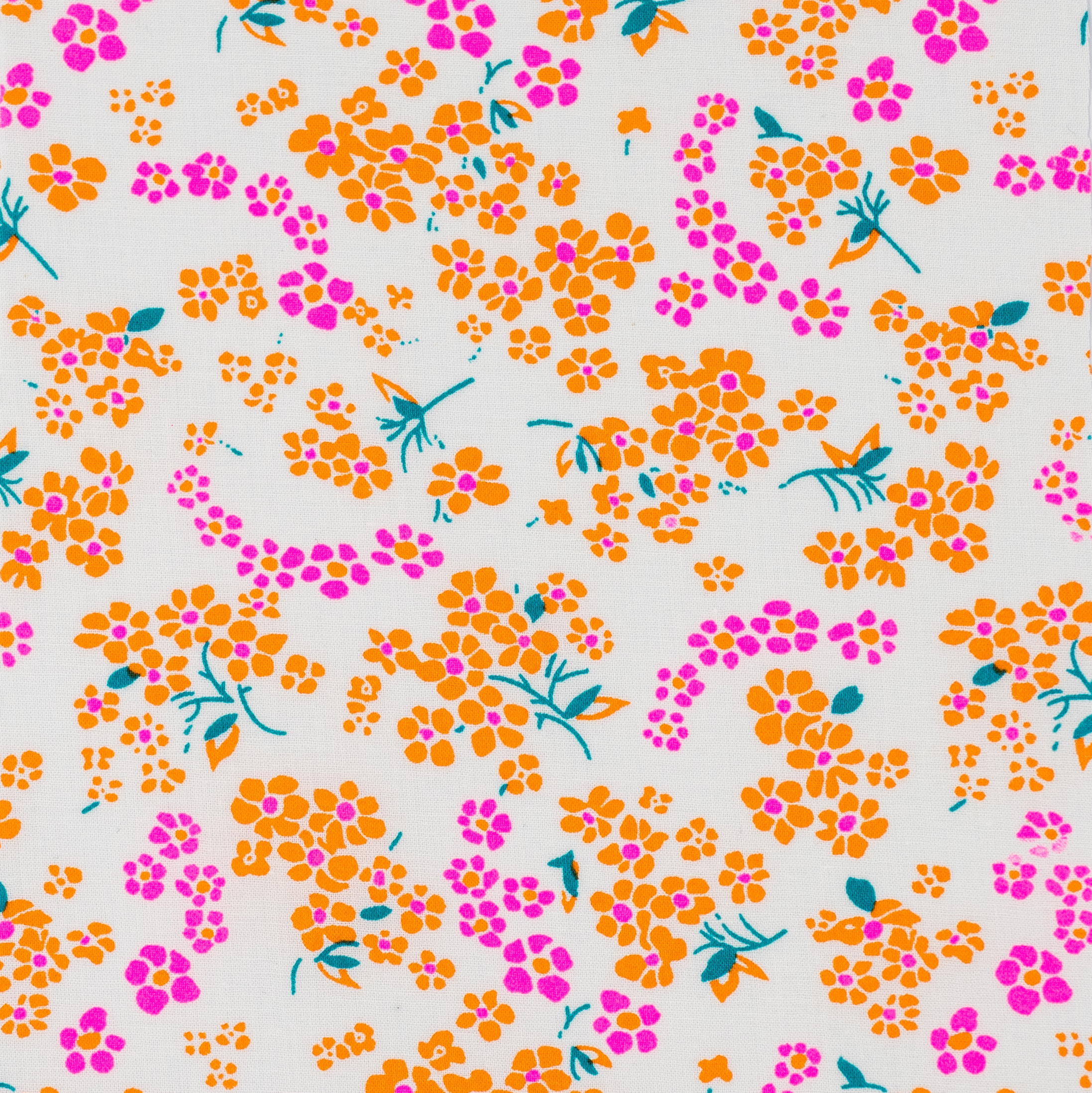 petites fleurs roses et oranges