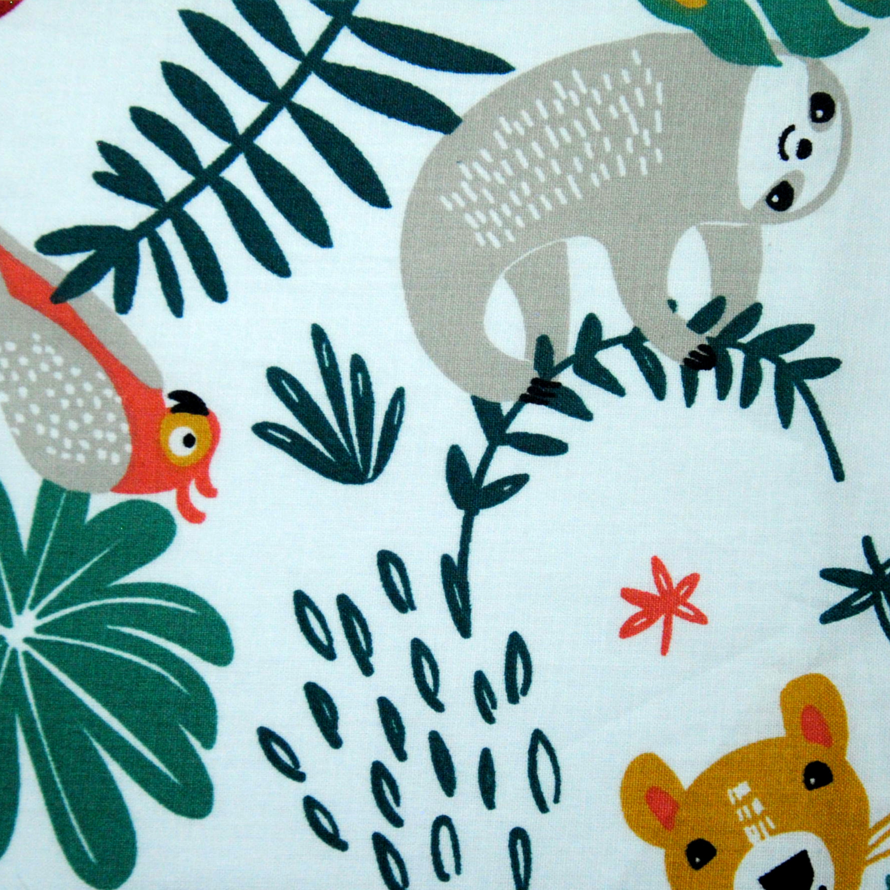 jungle